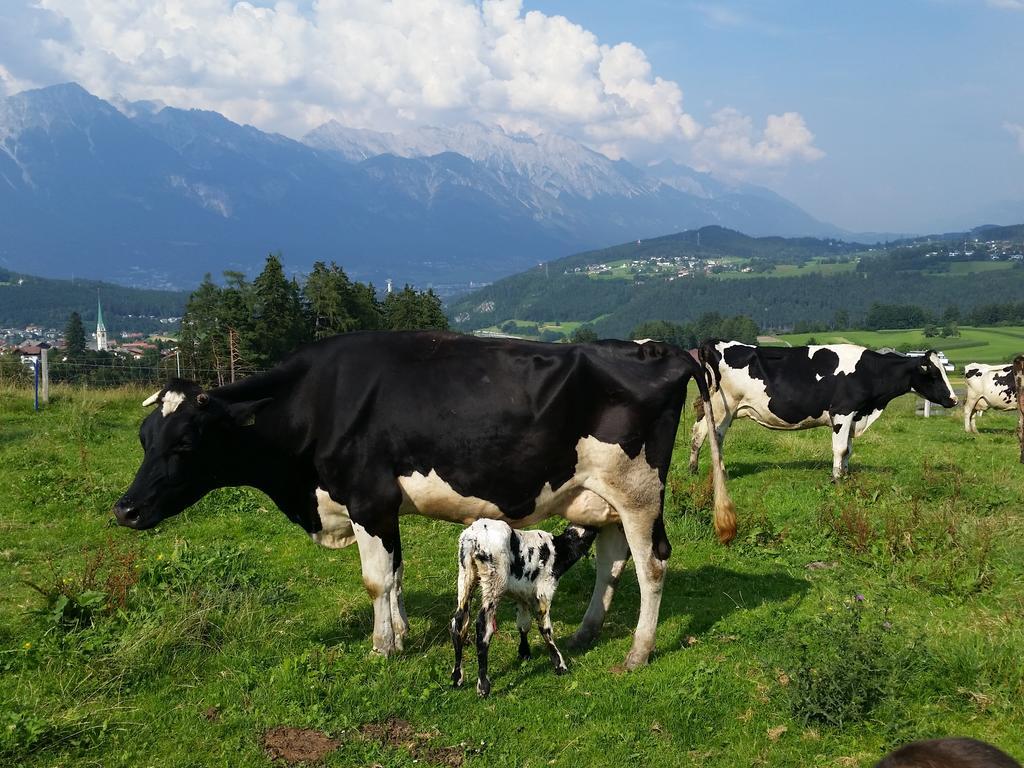 Ferienwohnung Stillerhof Innsbruck Ruang foto